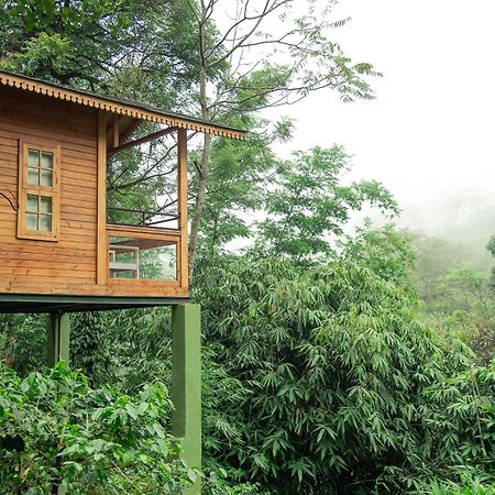 Misty Mountain Experience By Perfect Stays Pīrmed Eksteriør bilde