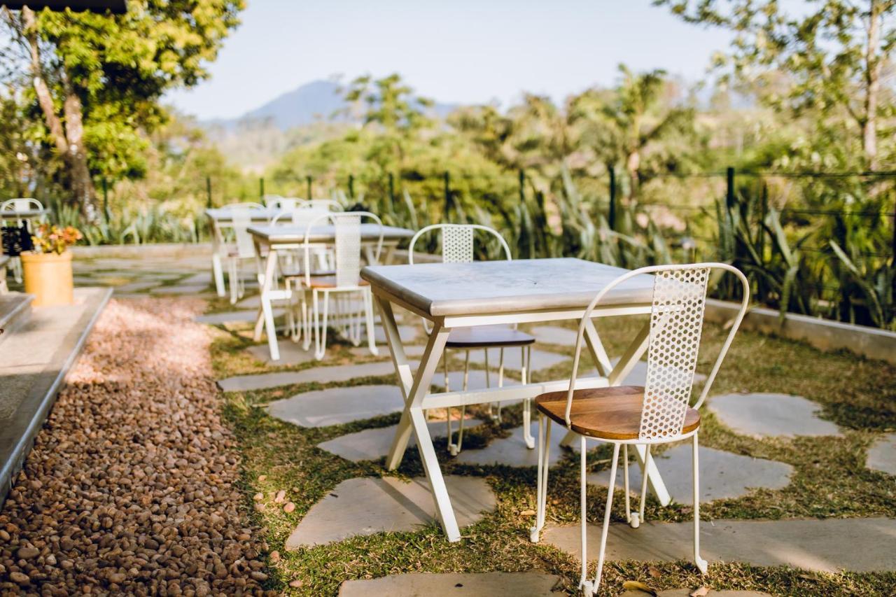 Misty Mountain Experience By Perfect Stays Pīrmed Eksteriør bilde
