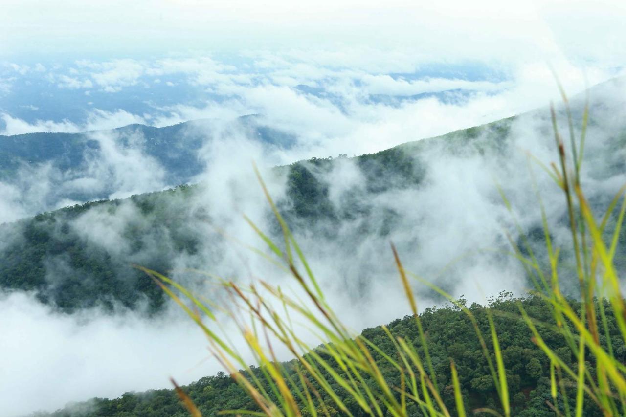 Misty Mountain Experience By Perfect Stays Pīrmed Eksteriør bilde