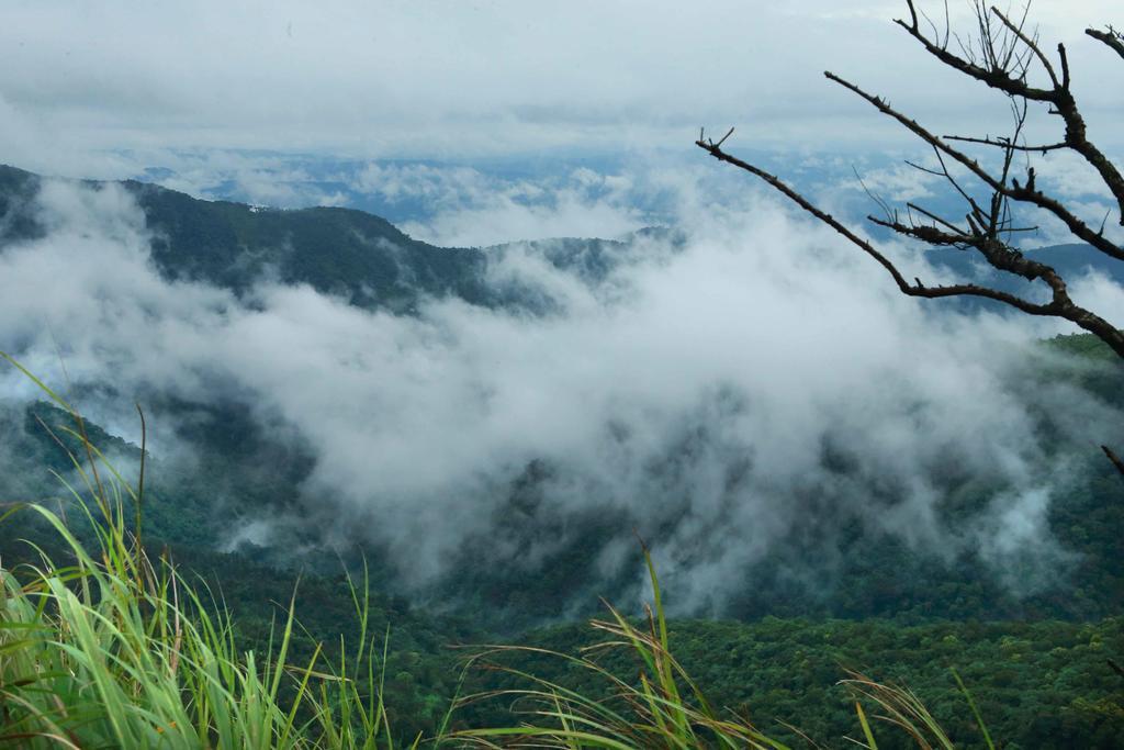 Misty Mountain Experience By Perfect Stays Pīrmed Eksteriør bilde
